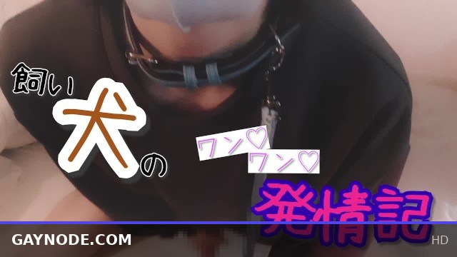 Woof ♡ Woof ♡ Hot Pet Dog in Sweatshirt Shows Off His Estrus Desire