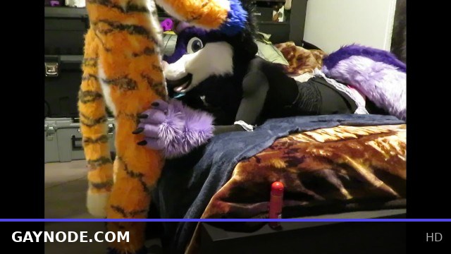 Erotic Encounter with the Tiger: Part One Featuring Passionate Twink Action