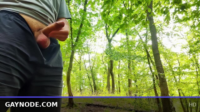 Massive cock shoots four loads back-to-back in a wild public forest encounter