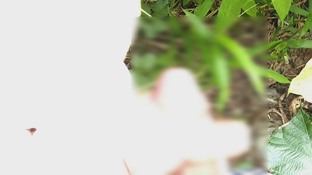 Solomsle Outdoor Masturbation Adventure with Intense Solo Action
