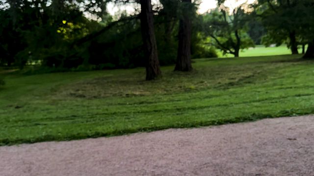 Risky Outdoor Blowjob and Cum on Park Bench Adventure