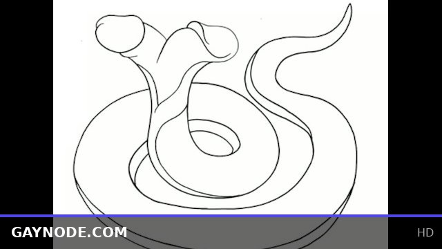 Two-Headed Dicksnake in Action: Intense Time Lapse Encounter