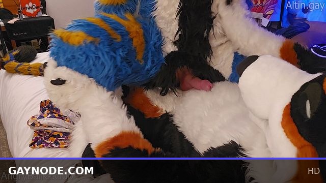 Big dog teaches the little kitty how to sit #knot #knotfucking