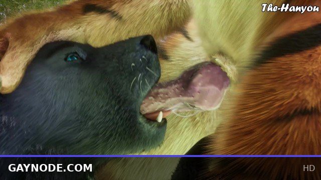 Wild Life 4K - Tiger X Wolf