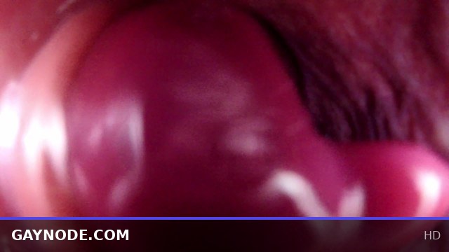 Internal Anal View Large Bad Dragon Rex Pounds My Ass And Cums