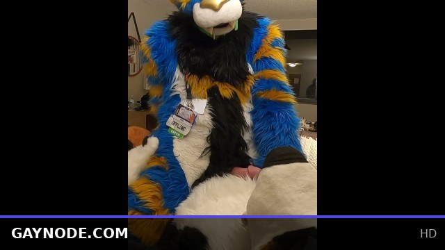 Good Kitty Nails the Bad Dog and Climaxes Hands-Free